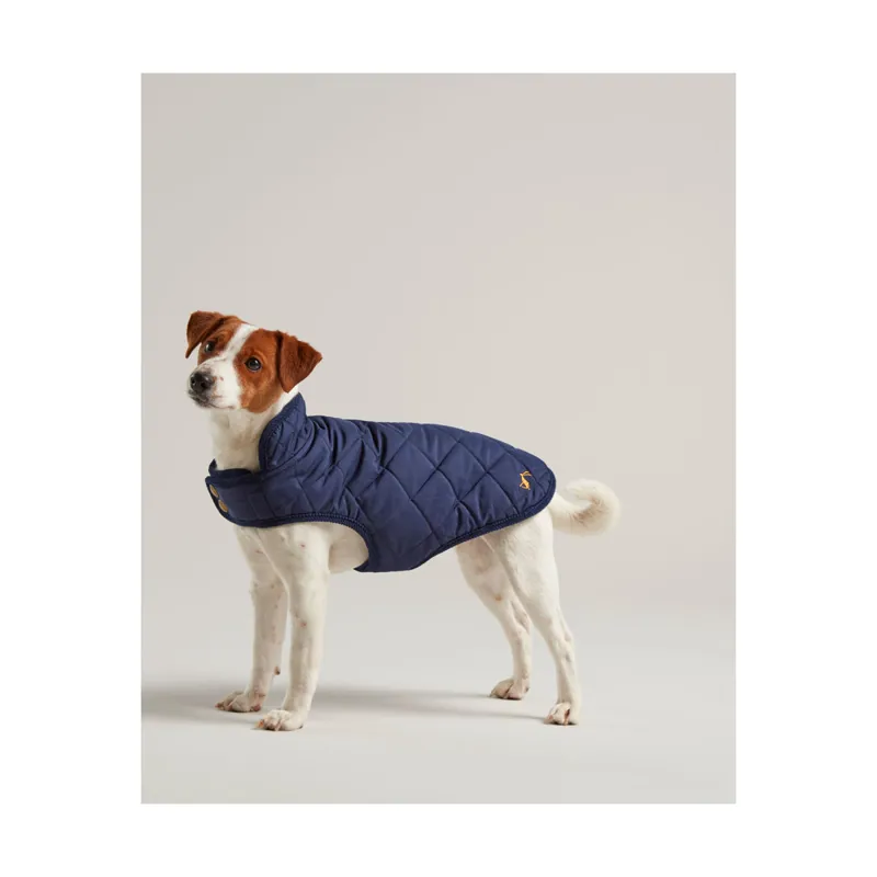Joules Quilted Dog Coat in Navy - WEB EXCLUSIVE